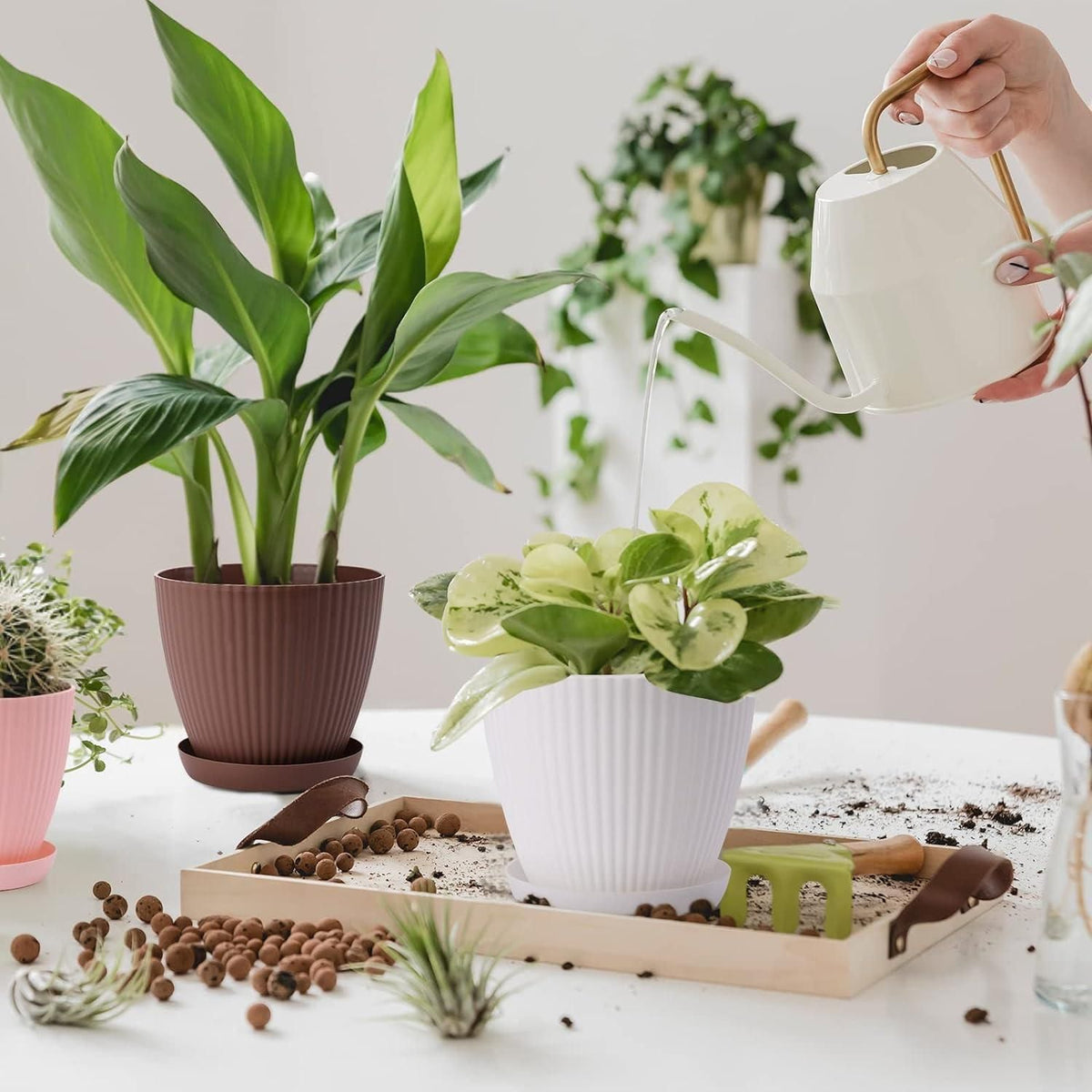 Ribbed Plastic Flower Pot with Tray
