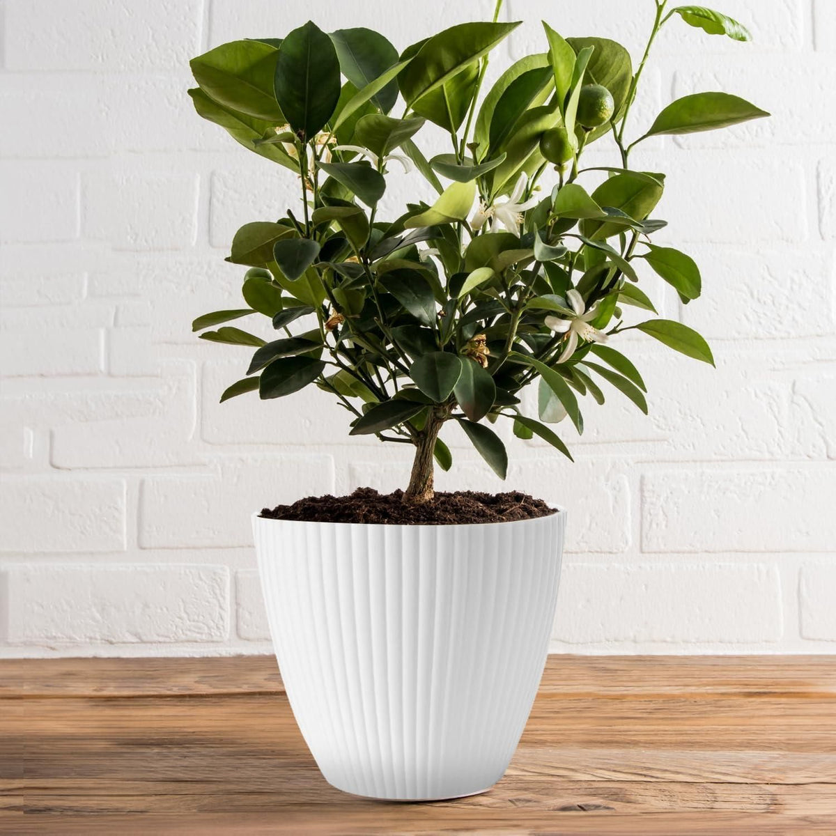 Ribbed Plastic Flower Pot with Tray