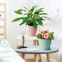 Ribbed Plastic Flower Pot with Tray 3