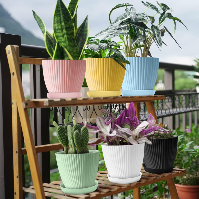 On a plant stand