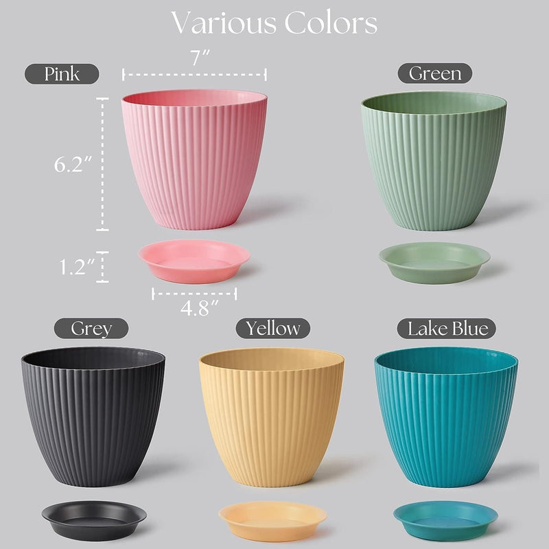 Colours